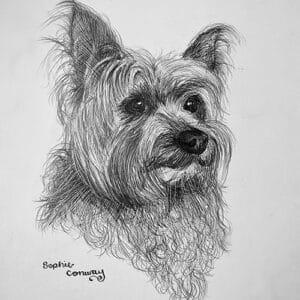 A3 Pet Portrait