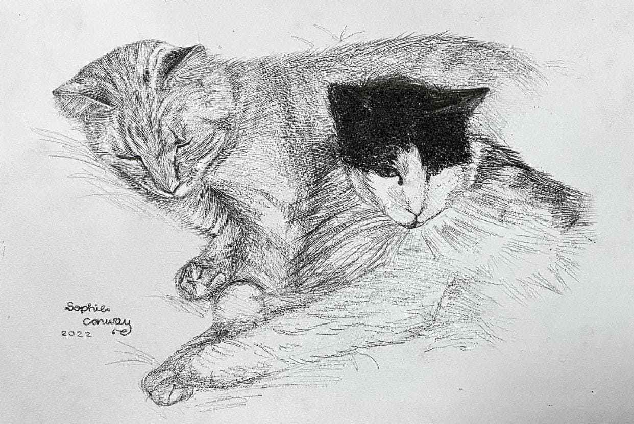 WhatsApp Image 2022-10-10 at 5.12.21 PM